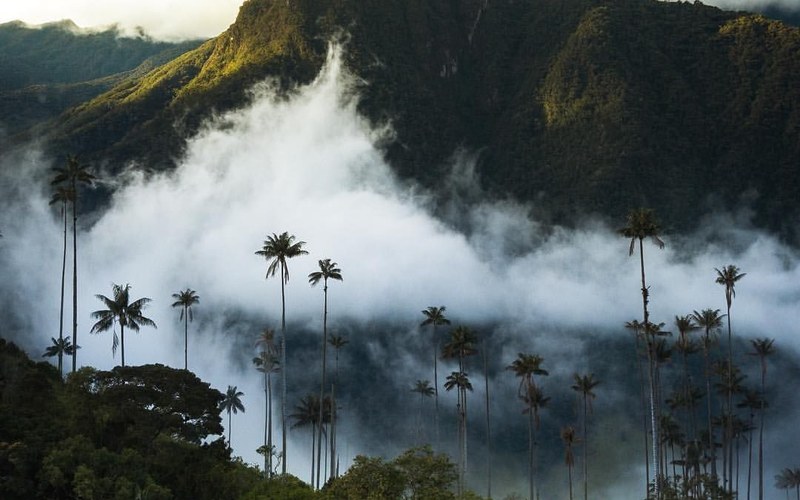 eje-cafetero – Osotur Colombia