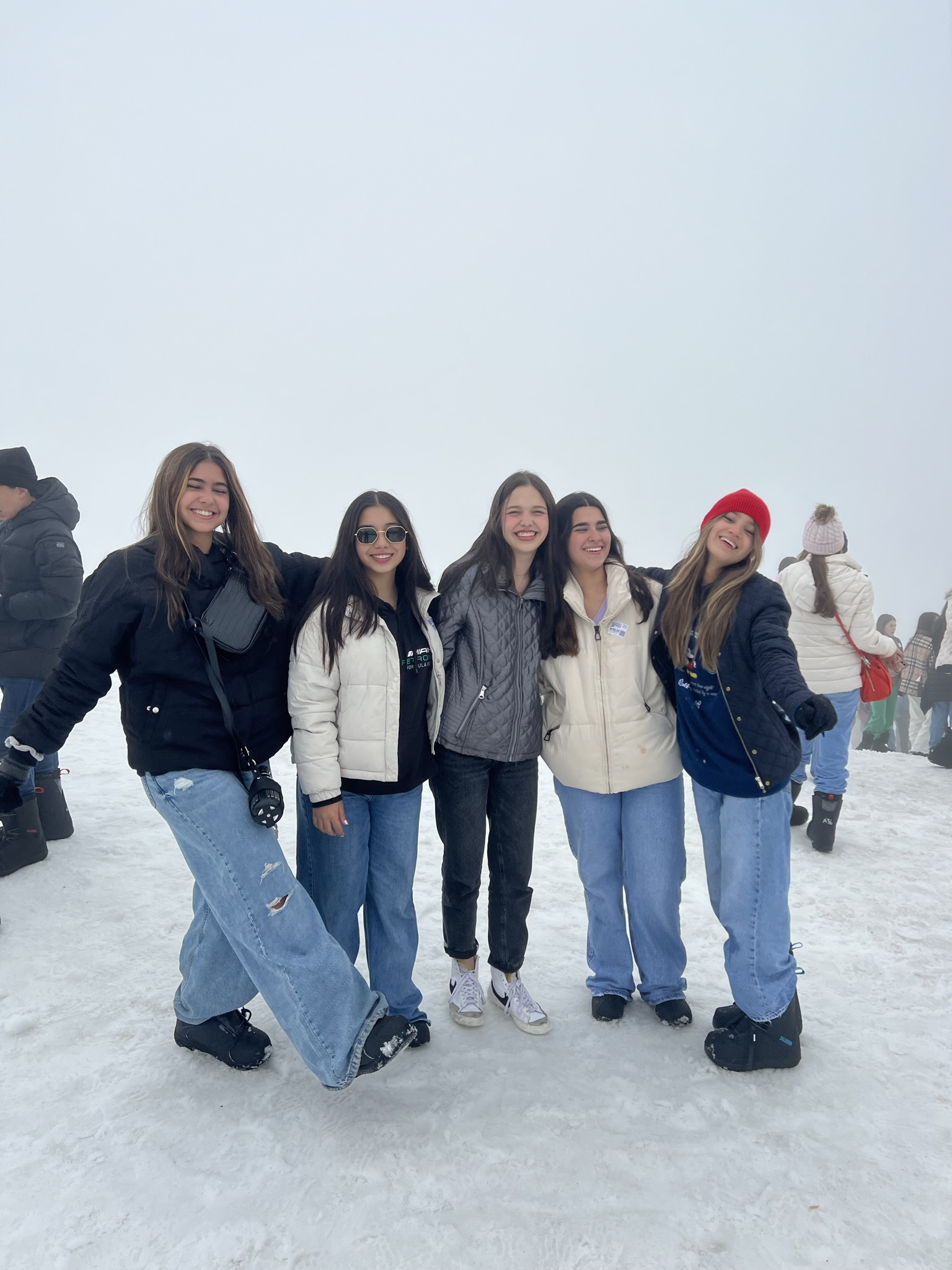 Día de nieve — Alpes Suizos Monte Titlis